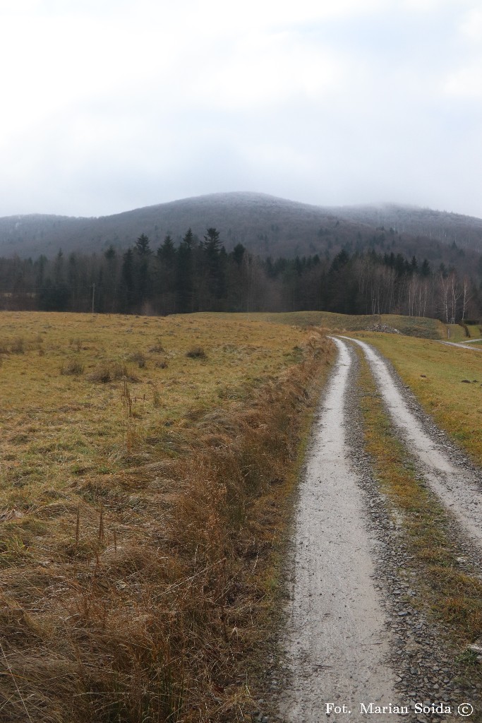 Śnieżnica ze Skrzydlnej