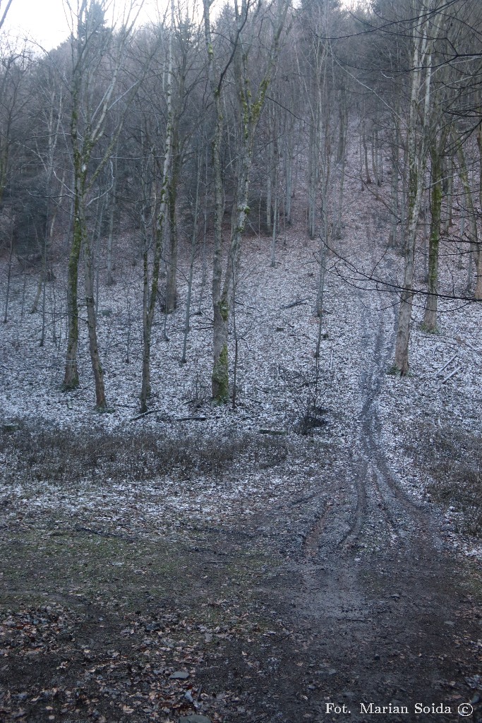 Diretissima północnej ściany Śnieżnicy Środkowej (Wierchów) ;)