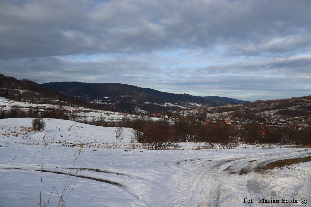 Zembalowa z nad Tenczyna