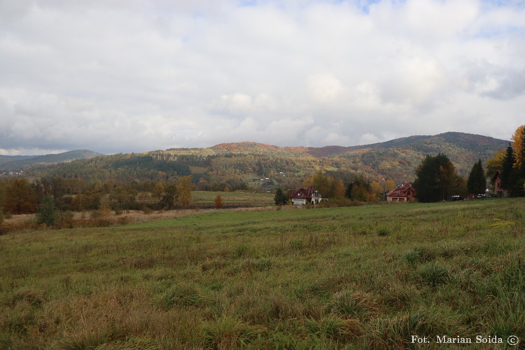 Kamionka, Kiczora z Lubnia