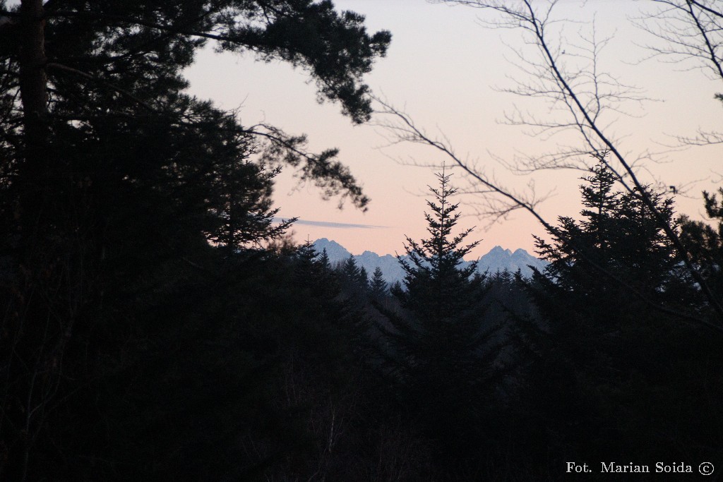 Gdzieniegdzie widok na Gerlach, Wysoką i Rysy