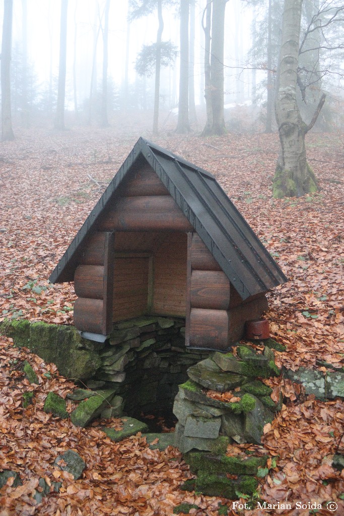 Źródło pod Lubomirem