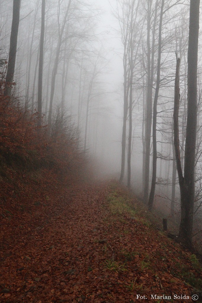 Stokówka do Suchej Przełęczy