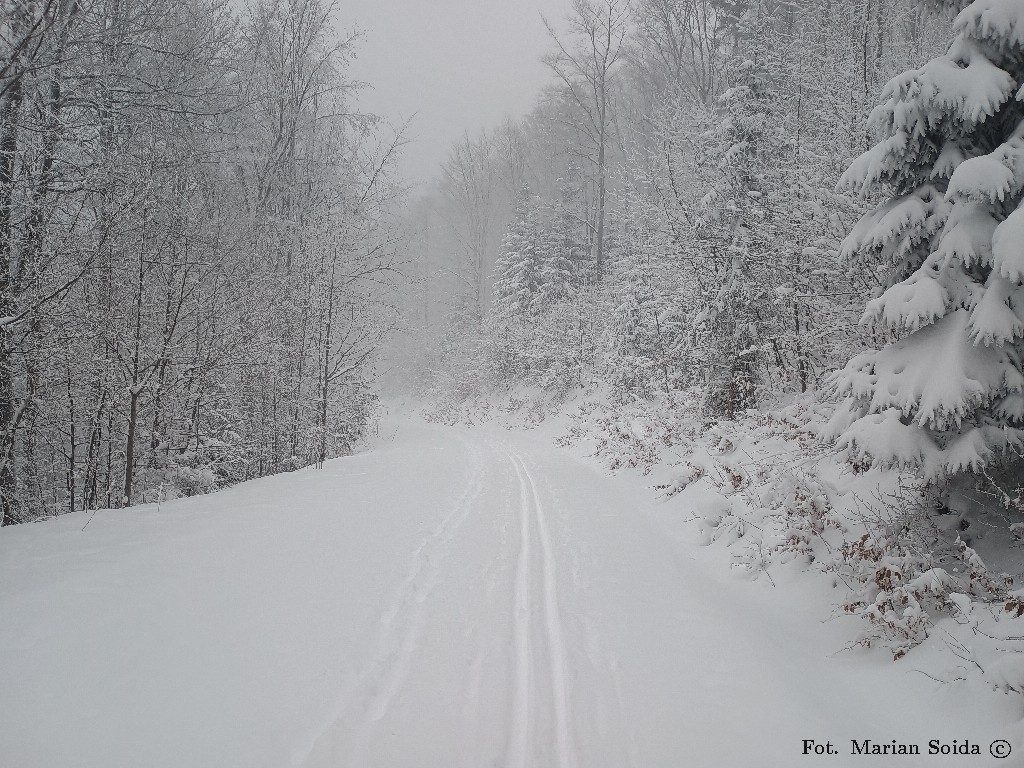 Założony ślad, ale już trochę zasypany