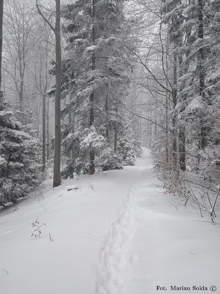 Niebieskim szlakiem już bez śladu
