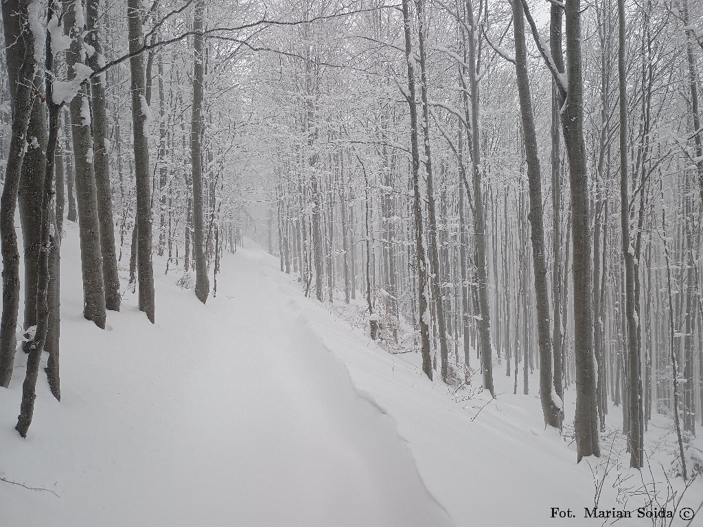 Stokówka pod szczytm jak zwykle bajkowa