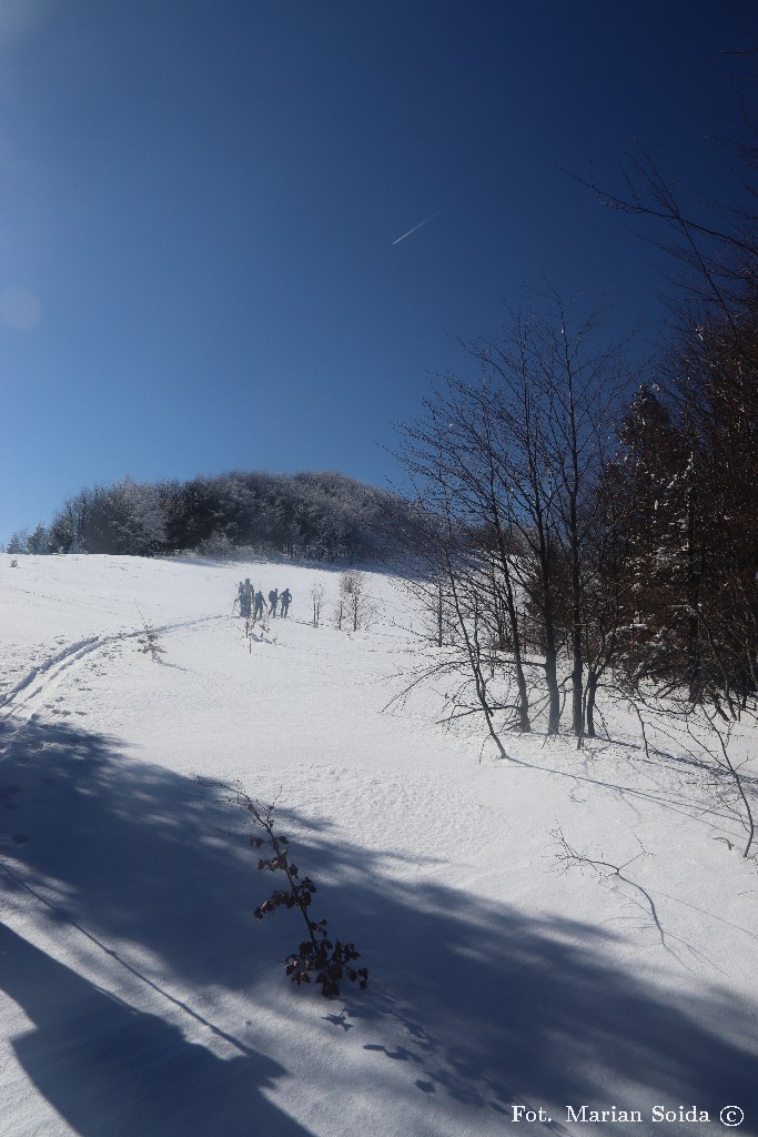 Polana szczytowa Małego Jasła