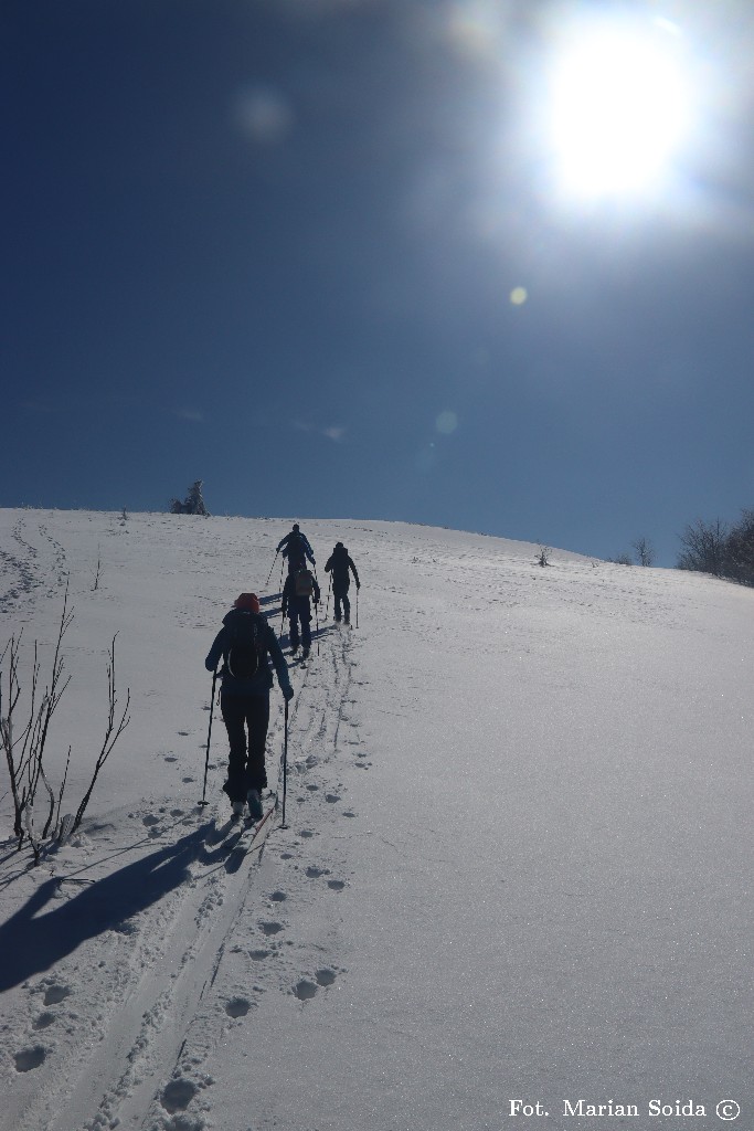 Polana szczytowa Dużego Jasła