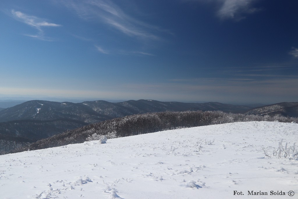 Stryb, Czereż, Czerenin z Dużego Jasła