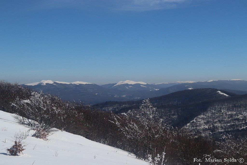 Połonia Wetlińska i Caryńska z Dużego Jasła