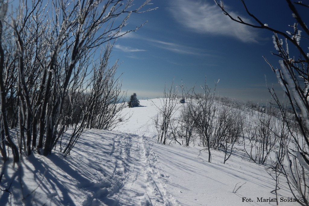 Grzbiet Dużego Jasła