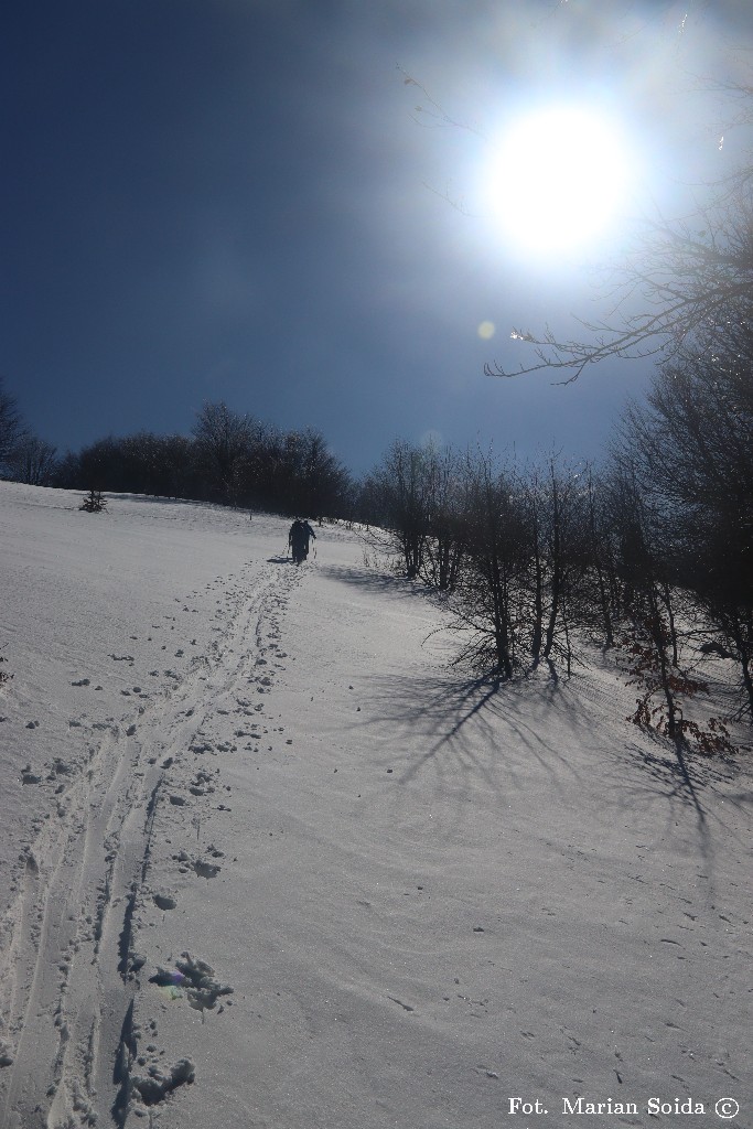 Po zjeździe w las wracamy na szczyt