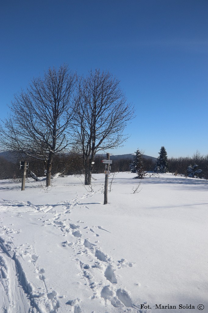 Odejście GSB od granicy pod Okrąglikiem