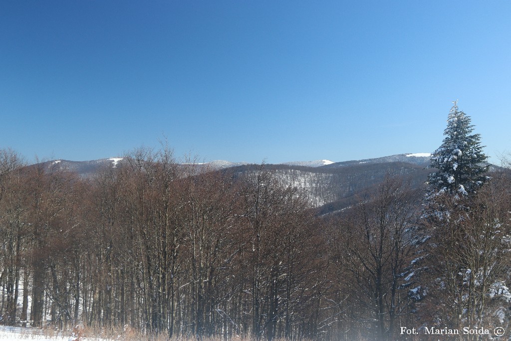 Paportna, Płasza ze ścieżki w kierunku Fereczatej