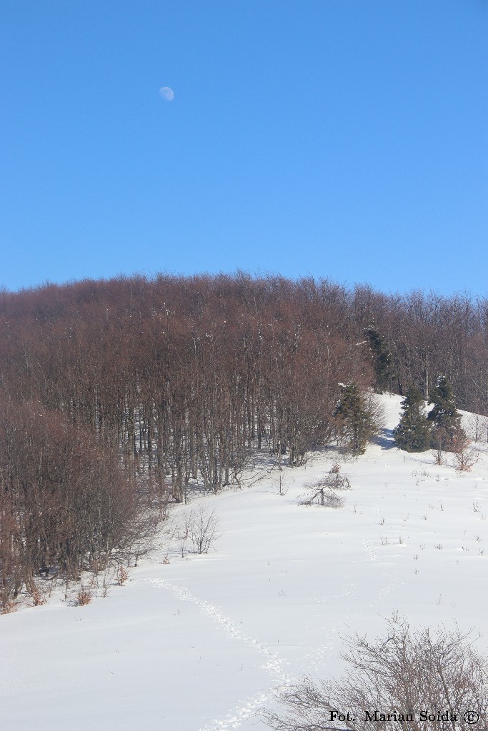 Podejście pod Fereczatą