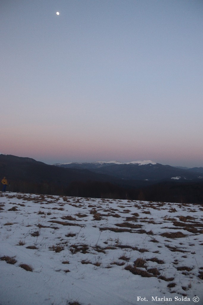 Tarnica z Wierchu Wyżniańskiego