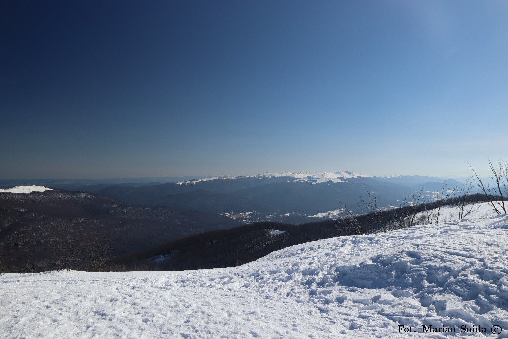 Gniazdo Tarnicy z Małej Rawki