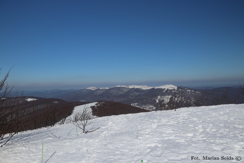Połonina Wetlińska spod Wielkiej Rawki