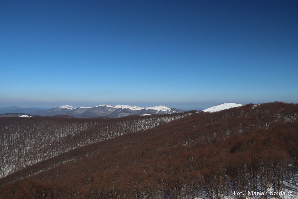 Czerwieniejące buczyny na zboczu