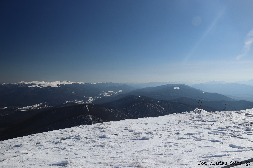 Gniazdo Tarnicy z Wielkiej Rawki
