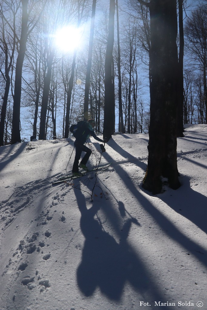 Powrót na polankę po zjeździe lasem