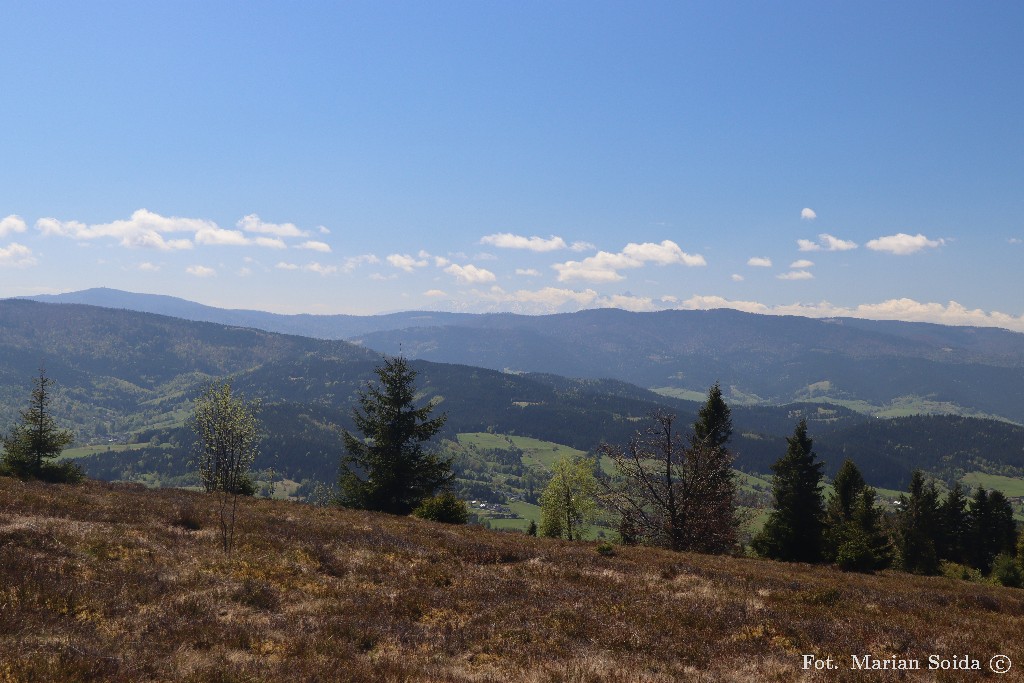 Gorce (i ledwo widoczne Tatry) z Polany Michurowej