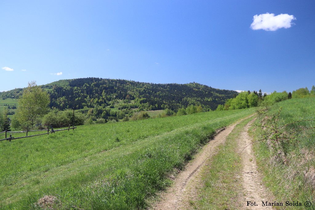 Ostra i Ogorzała z nad Wilczyc