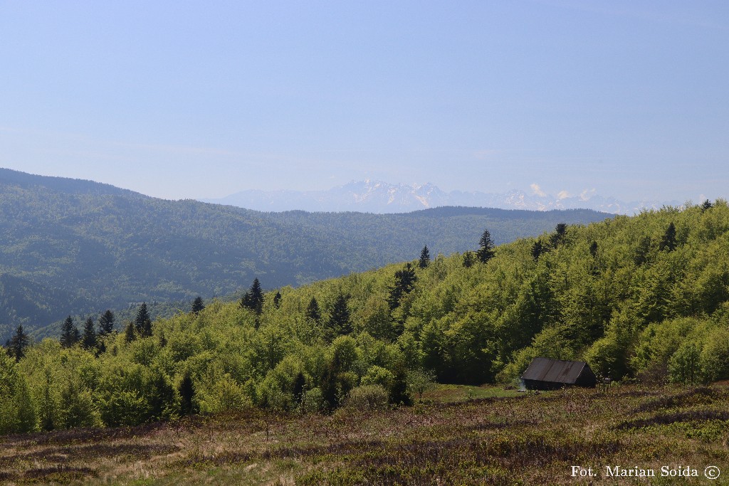 Tatry z Polany Skalne na Kutrzycy