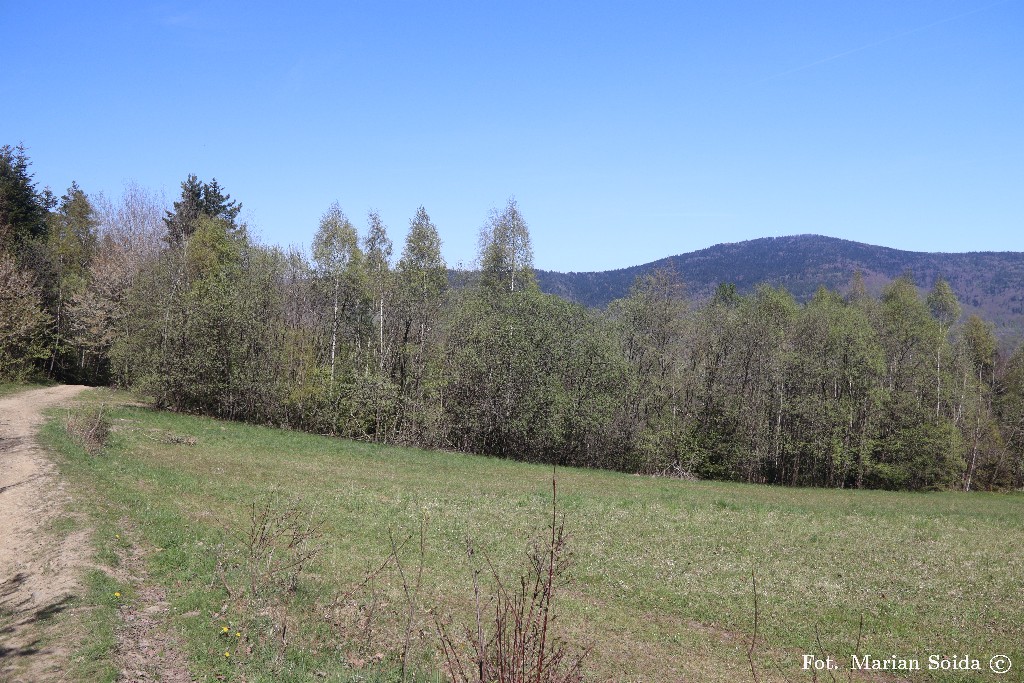 Widok na Szczebel z zejścia do Tenczyna