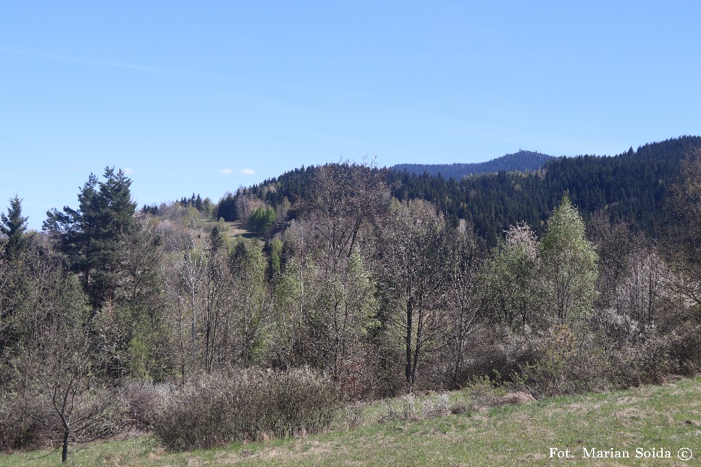 Widok na 