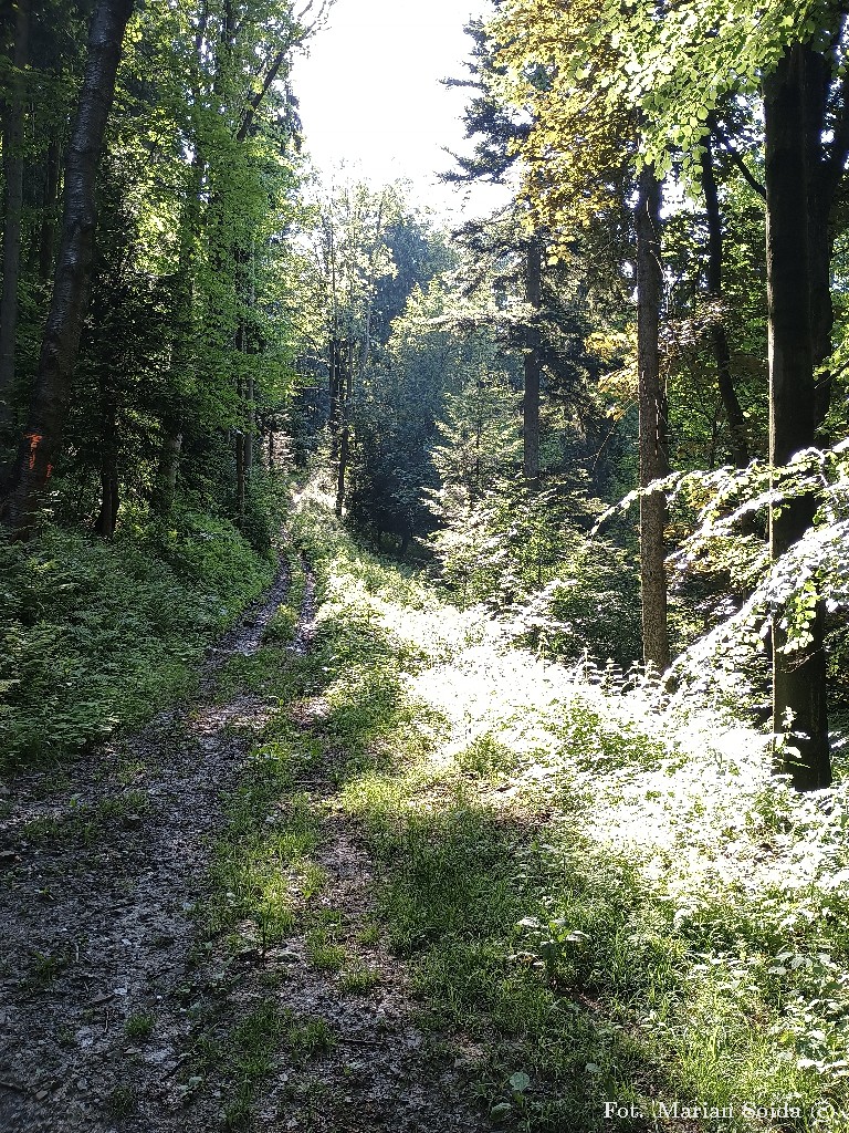 Stokówka pod górę