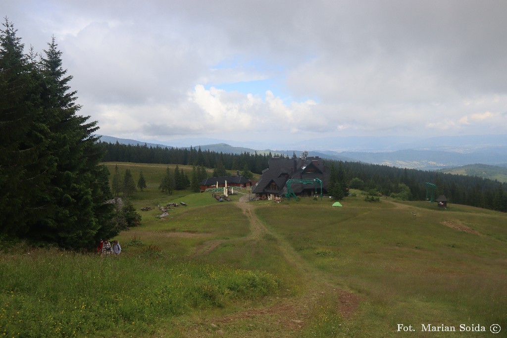 Hala Miziowa