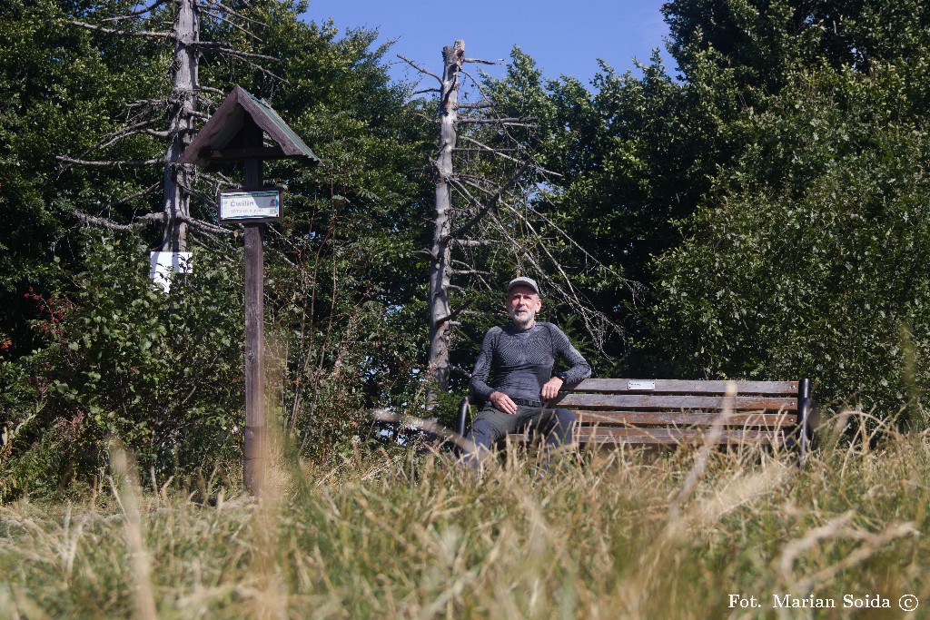 Na Ćwilinie