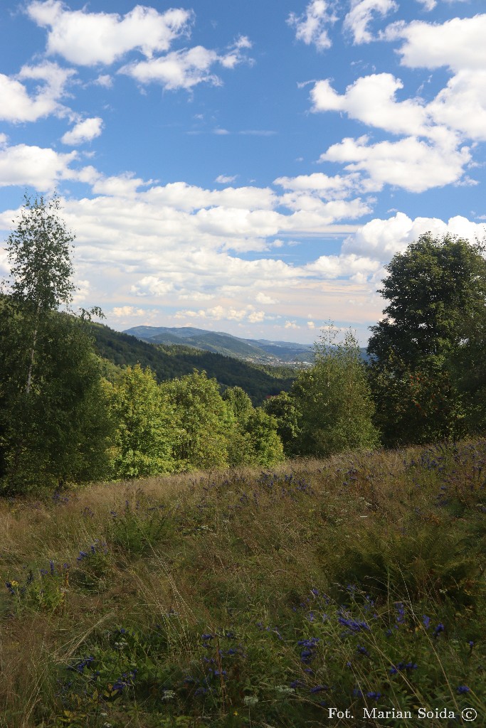 Kamionna z Gruszowca