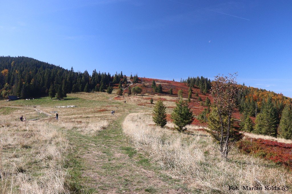 Kucałowa Przełęcz