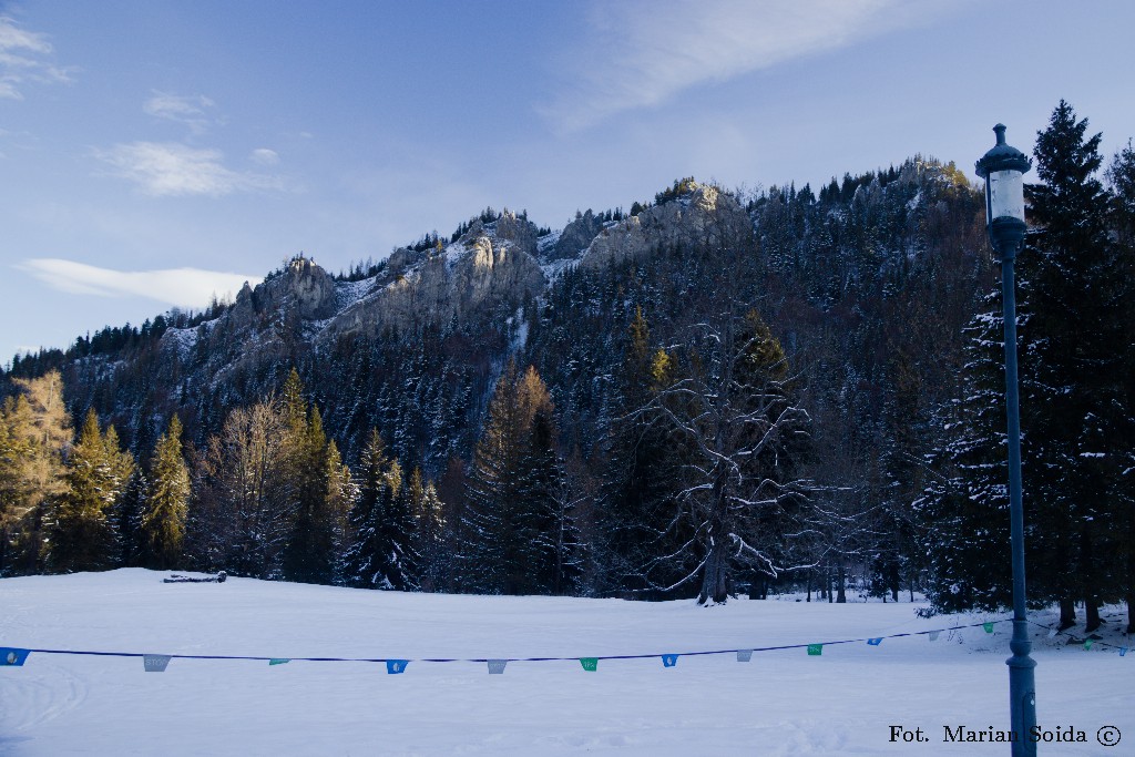Nosal z Parku Kuźnickiego