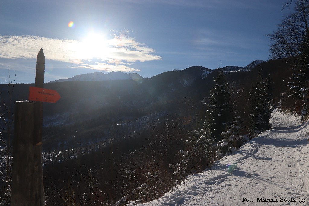 Nartostrada na Gąsienicową przy Nosalowej Przełęczy