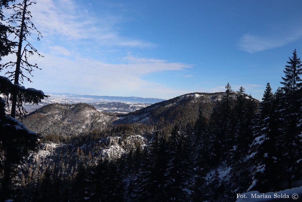 Kopieniec z nad Doliny Olczyskiej