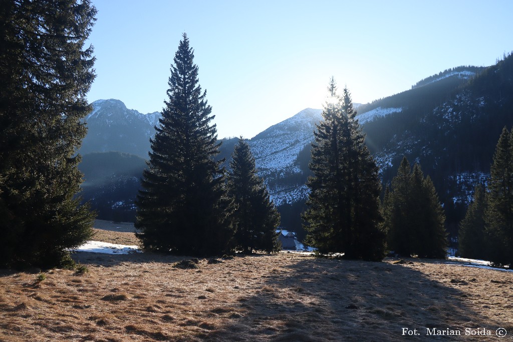 Ranek na Polanie Chochołowskiej