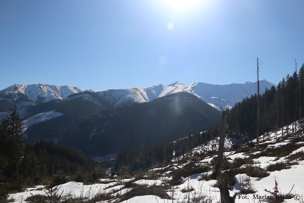 Ornak, Trzydniowiański, Starorobociański, Jarząbczy spod Przełęczy Bobrowieckiej