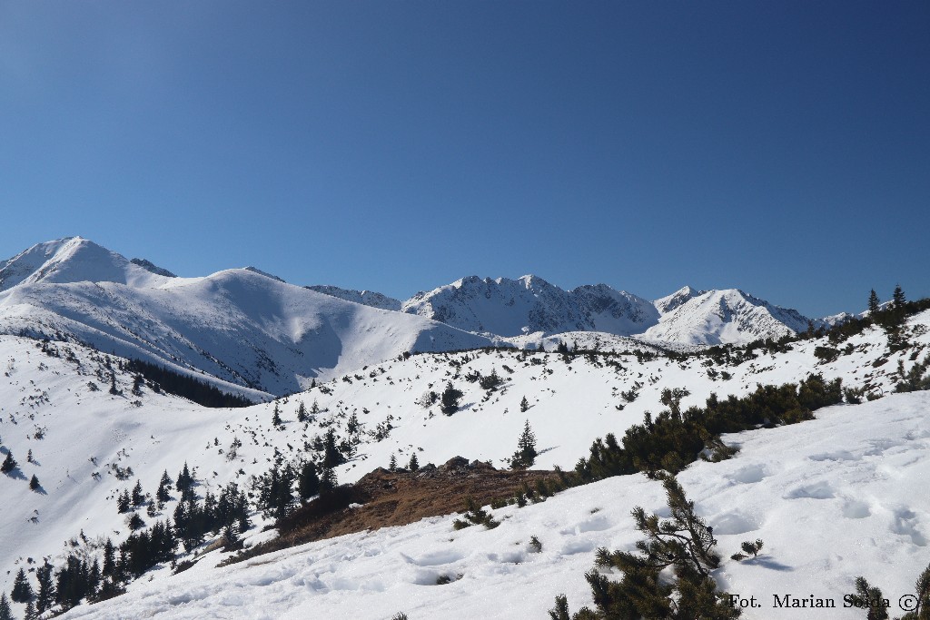 Wołowiec, Rakoń, Trzy Kopy, Banówka spod Grzesia