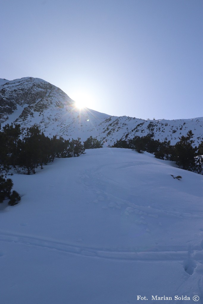 Wołowiec z Doliny Chochołowskiej Wyżniej