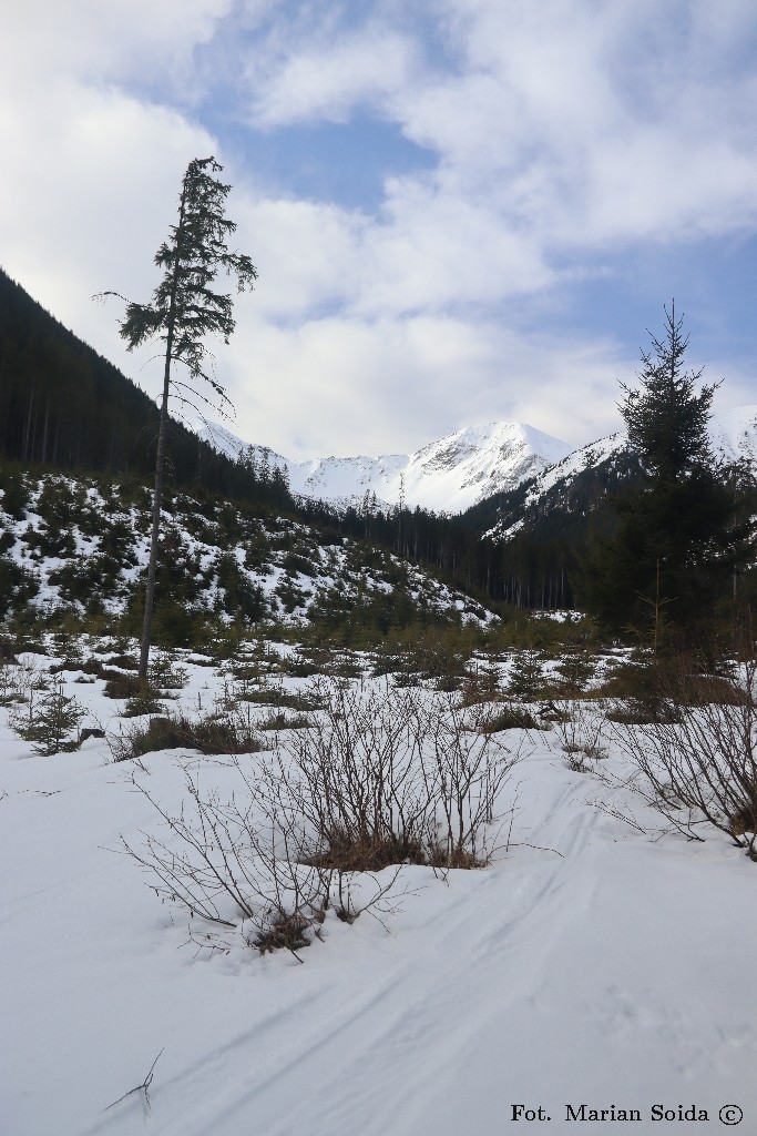 Jarząbczy Wierch, Łopata z Doliny Jarząbczej
