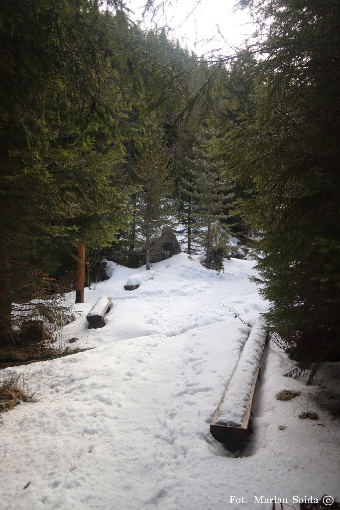 Papieski kamień w Dolinie Jarząbczej