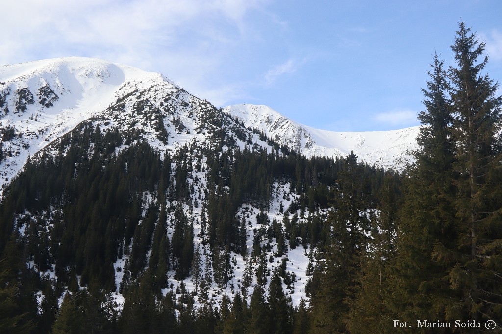 Łopata, Wołowiec spod Trzydniowiańskiego Wierchu
