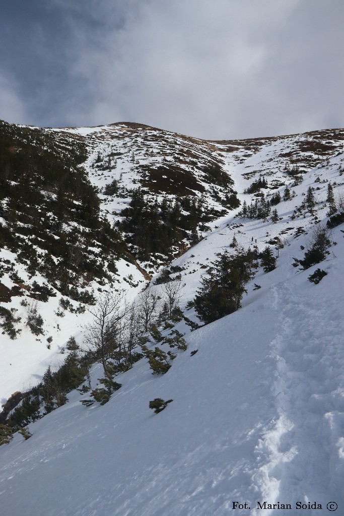 Trzydniowiański Wierch z Szerokiego Żlebu