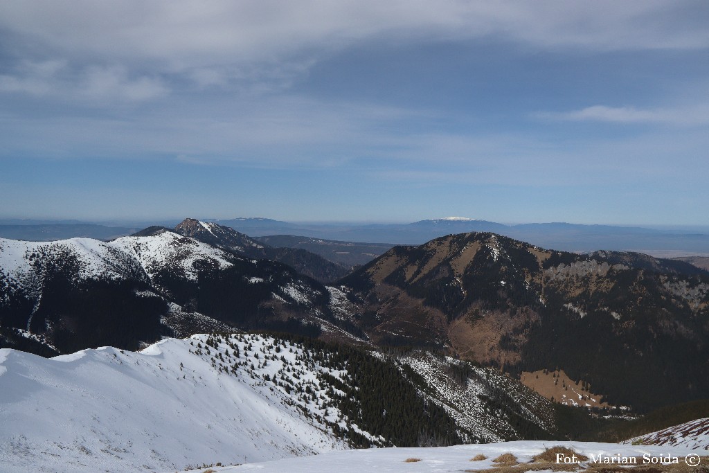 Grześ, Osobita, Bobrowiec z Trzydniowiańskiego Wierchu