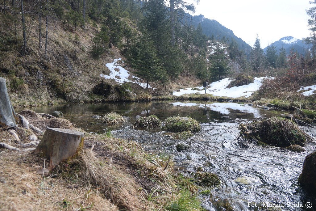 Wywierzysko Chochołowskie