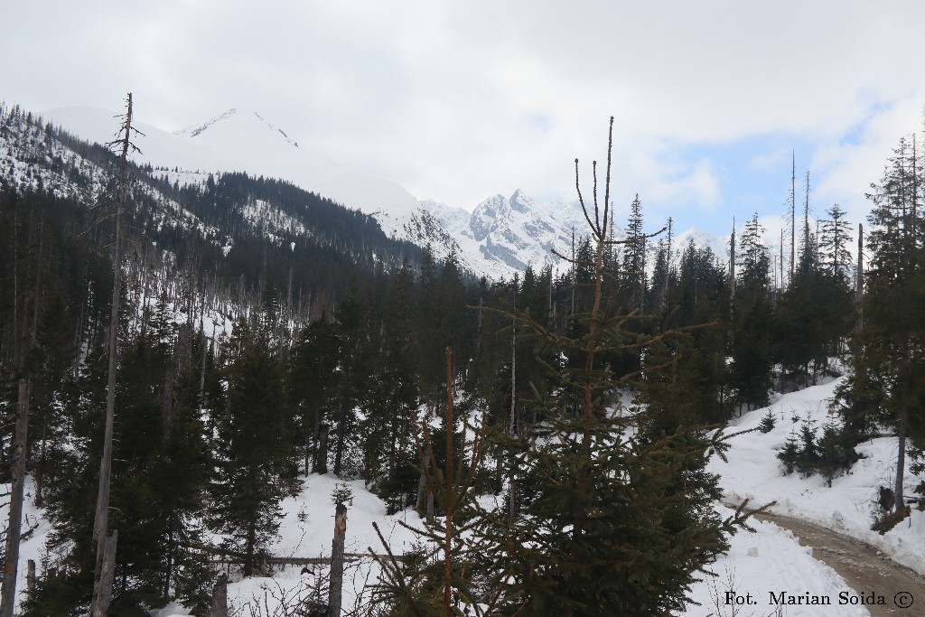 Biała Żółta Turnia, Kościelce i ledwo widoczna Świnica