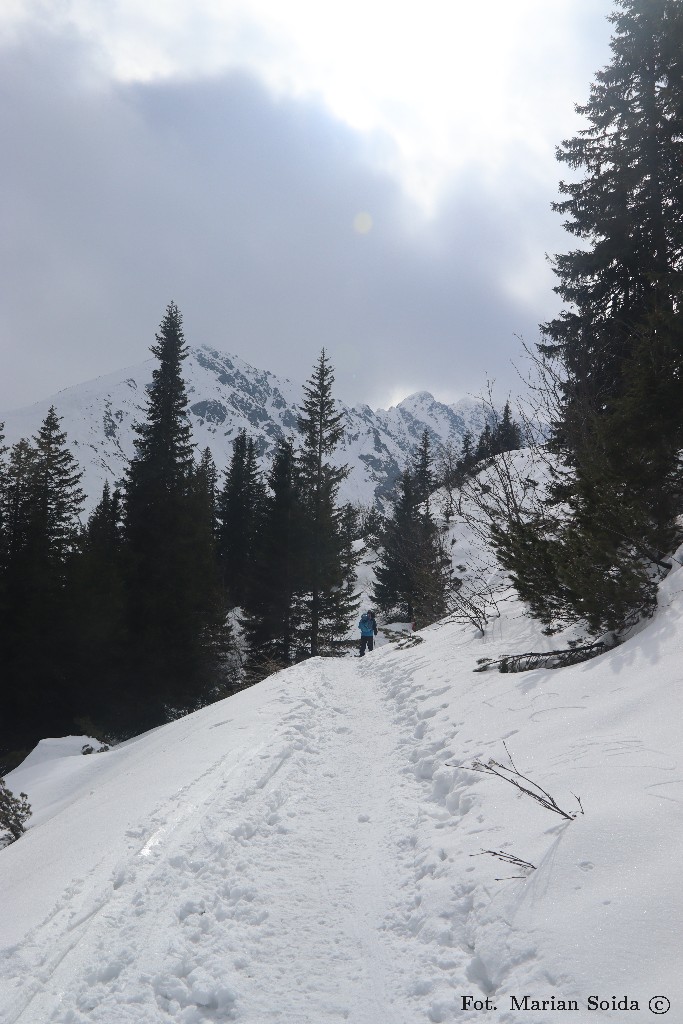 ... w stronę Czarnego Stawu ...